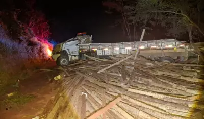 Três mortos em acidente com caminhão de eucalipto em Mata Verde, MG