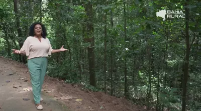 Vídeos do G1 e TV Bahia: Destaques do Domingo 8 de Março de 2026