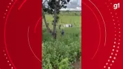 Acidente grave na BR-365 em Montes Claros deixa quatro feridos após carro capotar