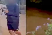 Adolescente é investigado por arremessar gato em rio em São Luiz do Paraitinga