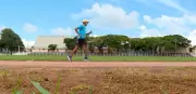 Aos 74 anos, morador de Descalvado mantém rotina de treinos e coleciona 200 medalhas no atletismo