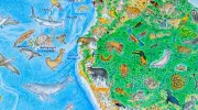 Artista recria mapa mundial com 1.642 animais e destaca biodiversidade brasileira