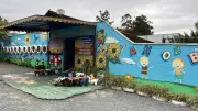 Autor de ataque em creche de Blumenau é condenado por maus-tratos a animais