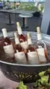 Bodega Garzón lidera revolução dos vinhos uruguaios com leveza e identidade própria