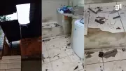 Boi invade residência após cair de barranco em Coronel Fabriciano e causa destruição