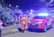 Bombeiros removem árvore caída que bloqueou avenida e atingiu rede elétrica em Boa Vista