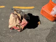 Buracos na Rua Halfeld em Juiz de Fora preocupam moradores e exigem reparos urgentes