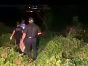 Caçador encontra ossada em decomposição no Acre; polícia investiga se é aposentado desaparecido