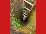 Cachorro é resgatado de poço de 6 metros após 24 horas preso no interior do Acre