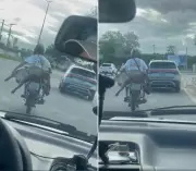 Capivara morta é transportada amarrada em moto em Campos dos Goytacazes