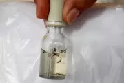 Caraguatatuba intensifica combate à dengue e chikungunya com ações em bairros