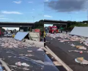 Carreta tomba e carga de carne é saqueada na BR-282 em Xanxerê, SC