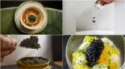 Caviar brasileiro: chefs reinventam luxo milenar com combinações inovadoras