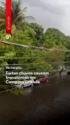 Chuva intensa e granizo causam estragos em Campina Grande; 16 árvores caídas