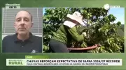 Chuvas favorecem safra recorde de café no Brasil em 2026-2027