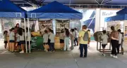 Circuito ambiental em Itaipava une educação e interação com animais para conscientizar