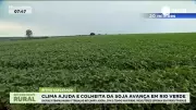 Clima favorece e colheita da soja avança rapidamente em Rio Verde, Goiás