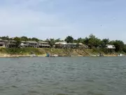 Comunidade ribeirinha em Roraima se transforma em guardiã das tartarugas-da-Amazônia