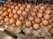 Conflito no Oriente Médio eleva custos e ameaça aumentar preços de proteínas no Brasil