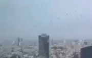 Corvos invadem céus de Tel Aviv e geram teorias apocalípticas nas redes sociais