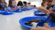 Especialista da ONU alerta: sem alimentação escolar, 10 milhões de crianças brasileiras passariam fome