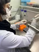 Exame de sangue brasileiro promete revolucionar diagnóstico precoce do câncer de mama