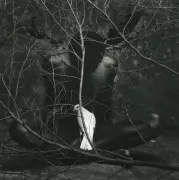 Exposição gratuita no MAM-BA traz 80 obras apresentadas na cúpula do G20