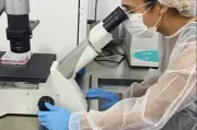 Fapespa investe R$ 2,16 milhões em projetos de biotecnologia liderados por mulheres no Pará
