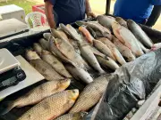 Feira do Pescado em Cruzeiro do Sul projeta venda de 8 toneladas na Semana Santa
