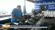 Fim do defeso libera oito espécies de peixes para pesca e venda em Santarém