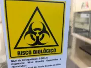 Furto de vírus na Unicamp: como funcionam os laboratórios de biossegurança no Brasil