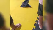 Homem é assassinado a tiros dentro de academia de jiu-jitsu em Jijoca de Jericoacoara