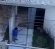 Homem mata cachorro com 14 tiros em Pará de Minas e é liberado após pagar fiança