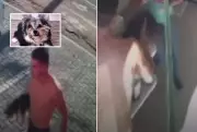 Homem mata cachorro da ex em Leme (SP) e leva corpo ao veterinário após espancamento