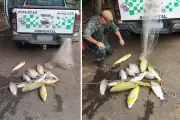 Homem multado em R$ 1,4 mil por pescar em local proibido no Rio Aguapéi em Lucélia (SP)