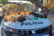 Homem multado em R$ 2 mil por manter aves silvestres em cativeiro em Presidente Prudente