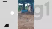 Homem é preso após agredir esposa com foice e faca em zona rural da Paraíba
