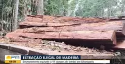 Ibama flagra desmatamento ilegal de 97 campos de futebol no sudeste do Pará