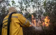 ICMBio abre seleção para brigadistas contra incêndios florestais em Porto Velho