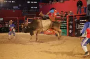 Limeira Rodeo: A Preparação Intensa dos Peões e os Prêmios das Competições