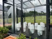 Memorial vivo homenageia Mamonas Assassinas com árvores e cinzas em Guarulhos