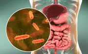 Microbiota intestinal é chave para eficácia da imunoterapia contra o câncer, revelam pesquisas
