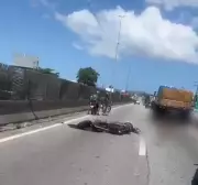 Motociclista morre em colisão com carreta e caminhonete na BR-101 em São José (SC)