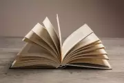 Mulher é condenada por estelionato em Campo Grande após aplicar golpes inspirados em livro americano