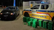 Mulher é presa com 173 barras de maconha após fuga da polícia na BR-259 em Minas Gerais