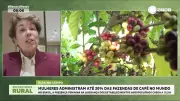 Mulheres alcançam 30% das administrações de fazendas de café no mundo, mas Brasil fica em 13,2%