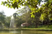 Museu de Cabangu reabre ao público em Santos Dumont com acervo histórico da aviação