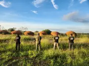 Operação em MG desmantela esquema de carvão ilegal e bloqueia mais de R$ 55 milhões