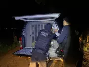Operação Ponto Crítico prende suspeito após criança se ferir com arma em Ipixuna do Pará