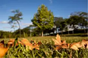 Outono de 2026 no Rio de Janeiro terá calor prolongado e transição lenta para o frio